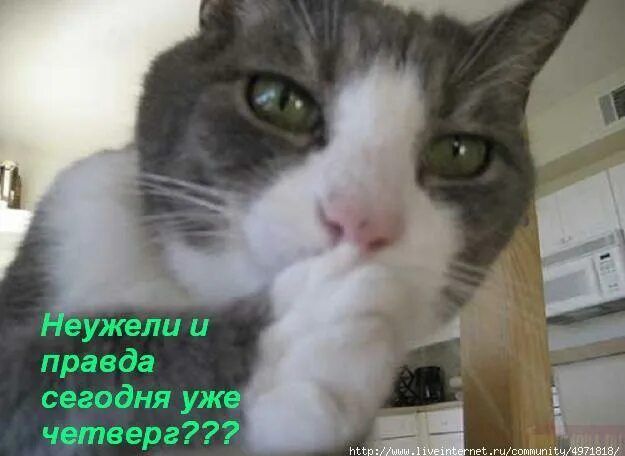 Неужели и правда сегодня уже четверг???