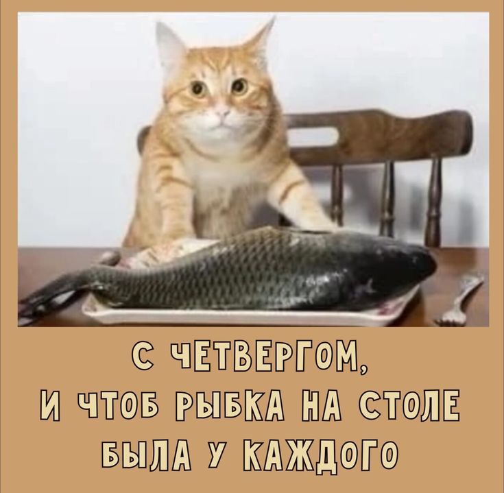 С ЧЕТВЕРГОМ, И ЧТОБ РЫБКА НА СТОЛЕ БЫЛА У КАЖДОГО