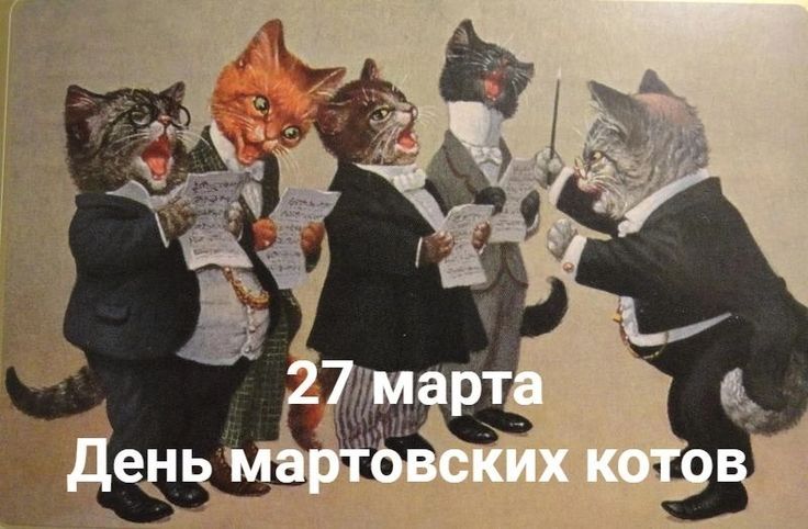 27 марта День мартовских котов