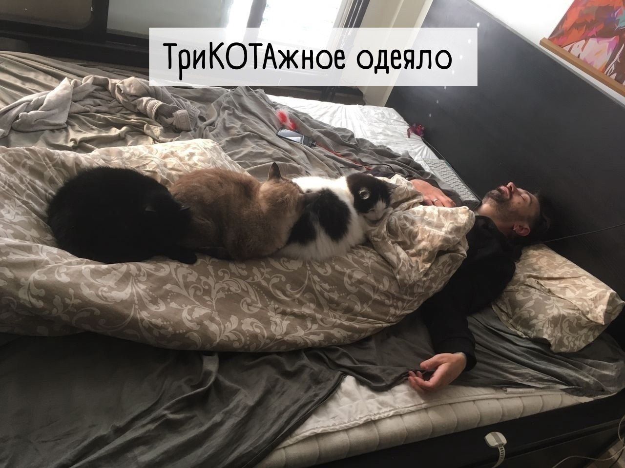 ТриКОТАжное одеяло