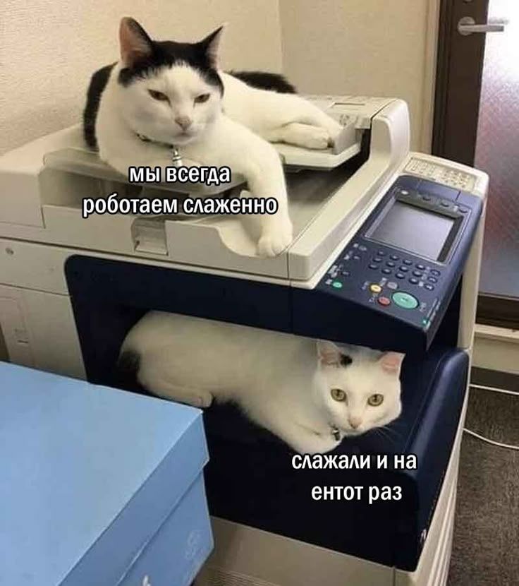 мы всегда работаем слаженно слажали и на ентот раз