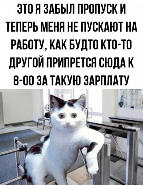ЭТО Я ЗАБЫЛ ПРОПУСК И ТЕПЕРЬ МЕНЯ НЕ ПУСКАЮТ НА РАБОТУ, КАК БУДТО КТО-ТО ДРУГОЙ ПРИПРЕТСЯ СЮДА К 8-00 ЗА ТАКУЮ ЗАРПЛАТУ