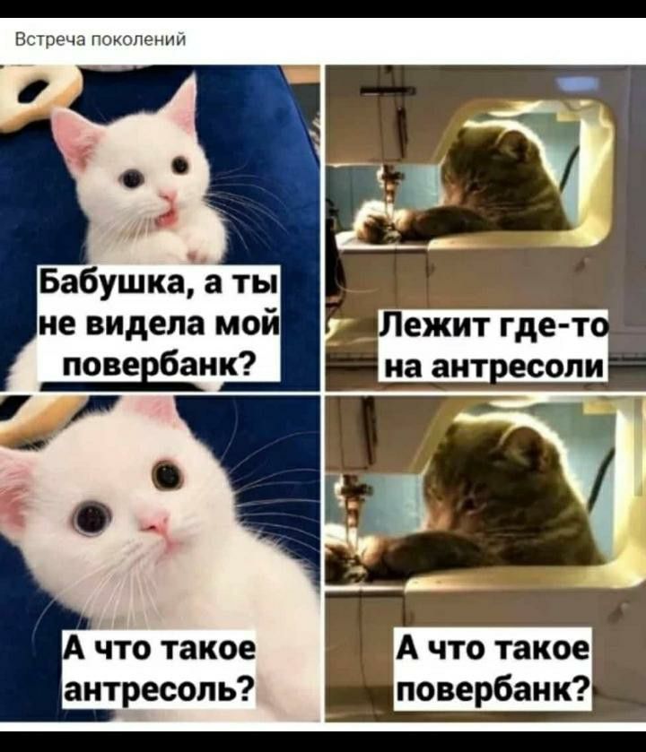 Встреча поколений. Бабушка, а ты не видела мой повербанк? Лежит где-то на антресоли. А что такое антресоль? А что такое повербанк?