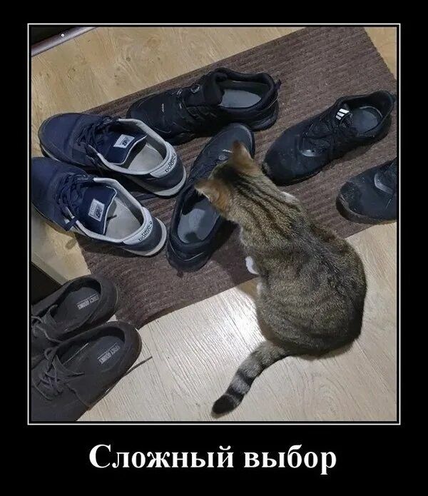 Сложный выбор