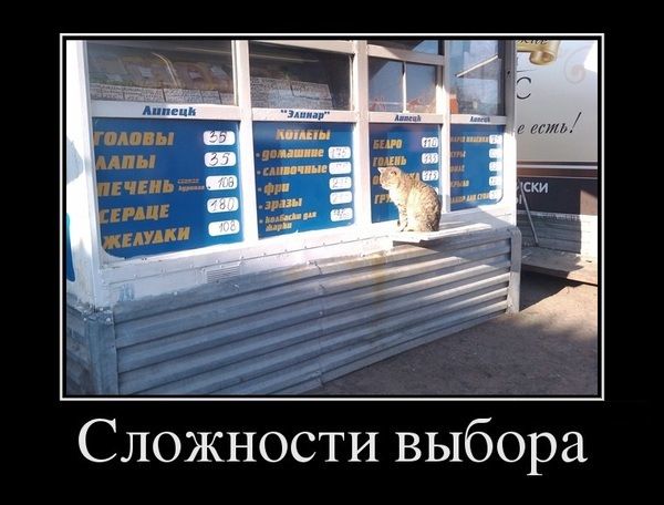 ГОЛОВЫ 35 ЛАПЫ 35 ПЕЧЕНЬ 108 СЕРДЦЕ 180 ЖЕЛУДКИ 108 КОТЛЕТЫ домашние сливочные фри зразы колбаски для жарки БЕДРО 310 ГОЛЕНЬ 333 ГРУДКА 315 Сложности выбора