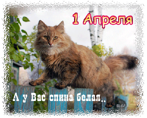 1 Апреля. А у Вас спина белая..