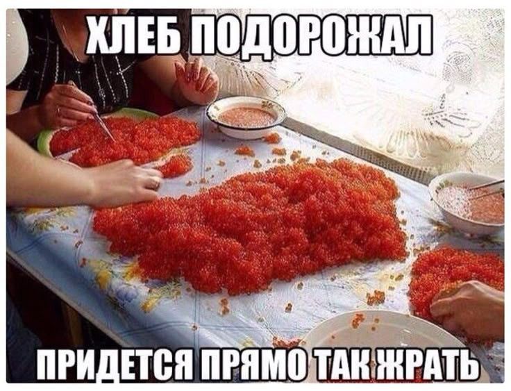 ХЛЕБ ПОДОРОЖАЛ ПРИДЕТСЯ ПРЯМО ТАК ЖРАТЬ