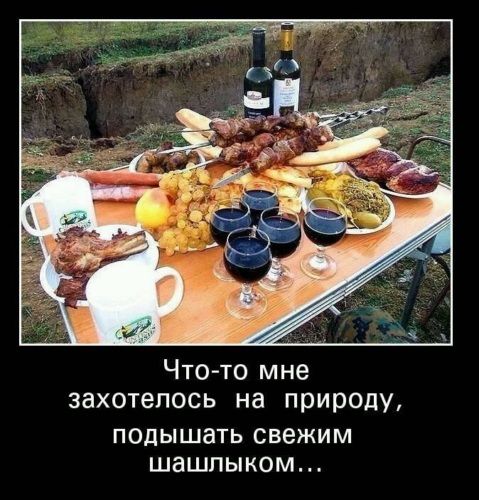 Что-то мне захотелось на природу, подышать свежим шашлыком...