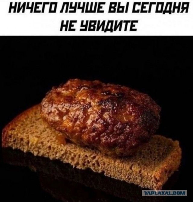 НИЧЕГО ЛУЧШЕ ВЫ СЕГОДНЯ НЕ УВИДИТЕ. Котлета на куске хлеба.