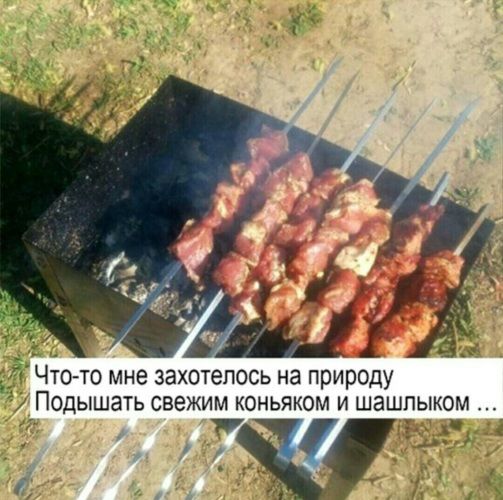 Что-то мне захотелось на природу Подышать свежим коньяком и шашлыком ...