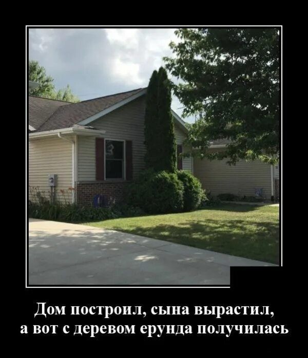 Дом построил, сына вырастил, а вот с деревом ерунда получилась