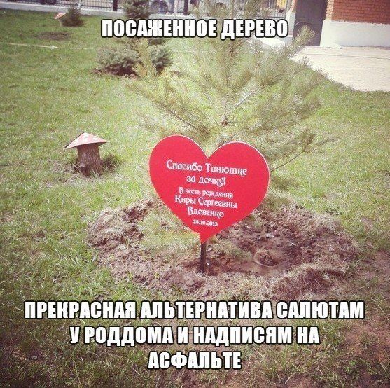 ПОСАЖЕННОЕ ДЕРЕВО Спасибо Танюшке за дочку! В честь рождения Киры Сергеевны Вдовенко 28.10.2013 ПРЕКРАСНАЯ АЛЬТЕРНАТИВА САЛЮТАМ У РОДДОМА И НАДПИСЯМ НА АСФАЛЬТЕ