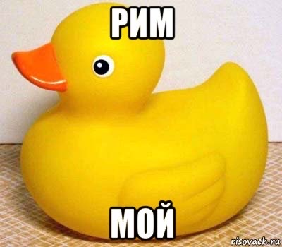 РИМ МОЙ