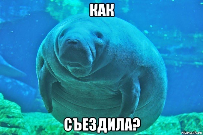 КАК СЪЕЗДИЛА?