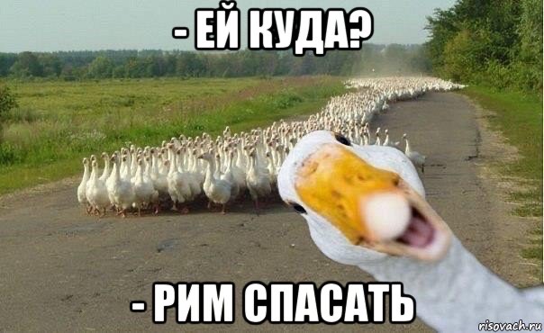 ЕЙ КУДА? - РИМ СПАСАТЬ