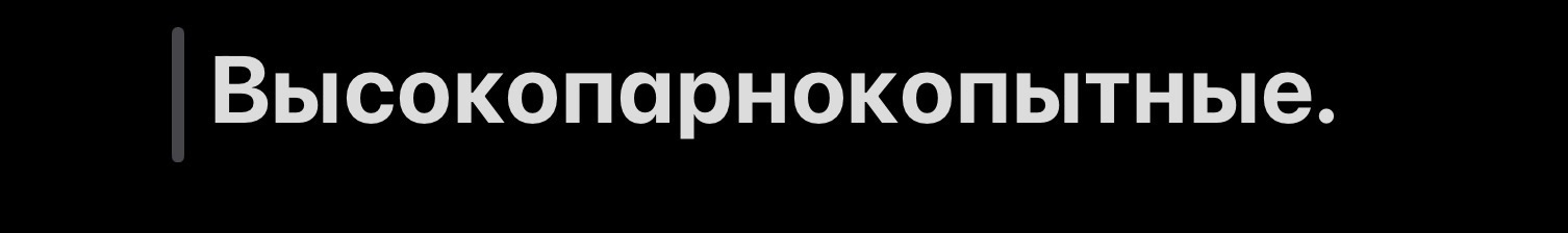 Высокопарнокопытные.