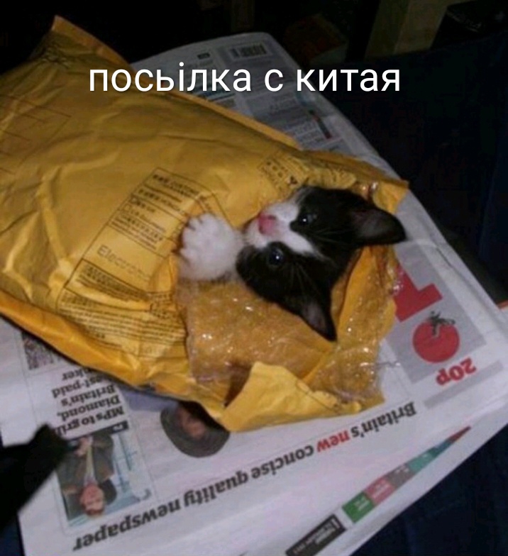 посьілка с к_итая