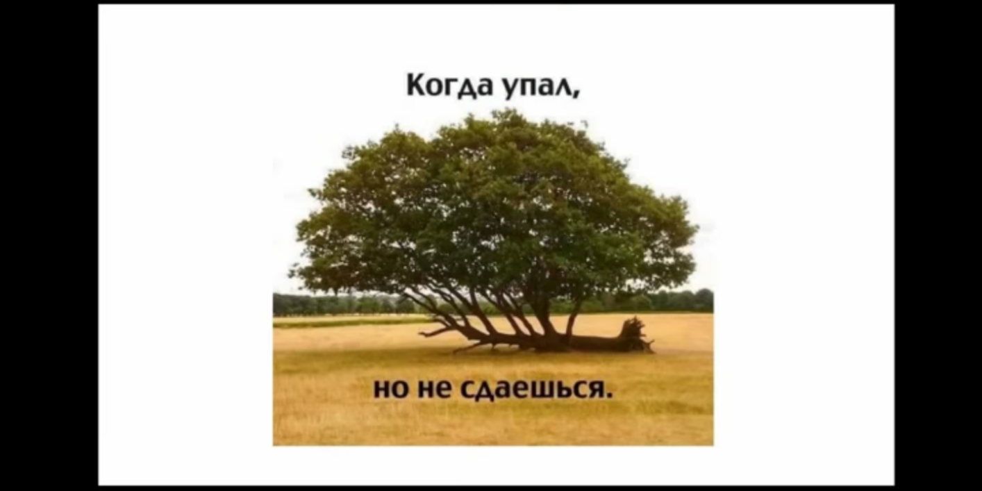 Когда упа НО не САВЕШЬСЯ