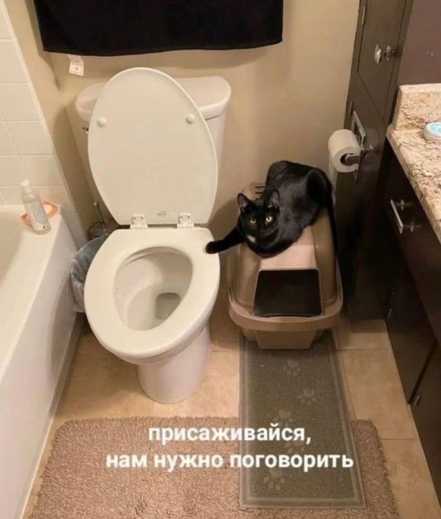 присаживайся, нам нужно поговорить