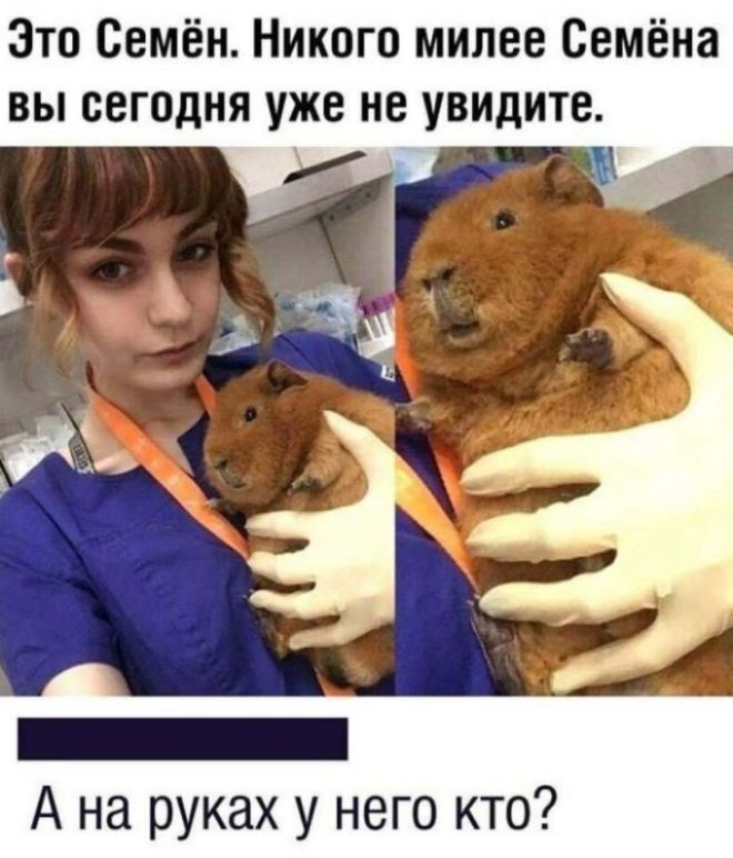 Это Семён. Никого милее Семёна вы сегодня уже не увидите. А на руках у него кто?