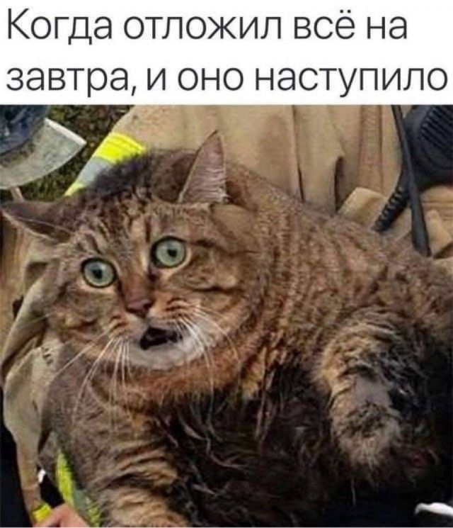 Когда отложил всё на завтра, и оно наступило