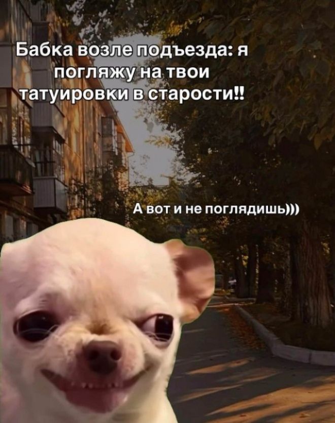 Бабка возле подъезда: я погляжу на твои татуировки в старости!! А вот и не поглядишь))