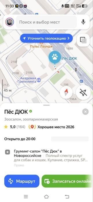 Пёс ДЮК • Зоосалон, зоопарикмахерская • 5,0 (164) Хорошее место 2026 • Открыто до 20:00 • Груминг-салон «Пёс ДЮК» в Новосибирске • Маршрут • Записаться онлайн