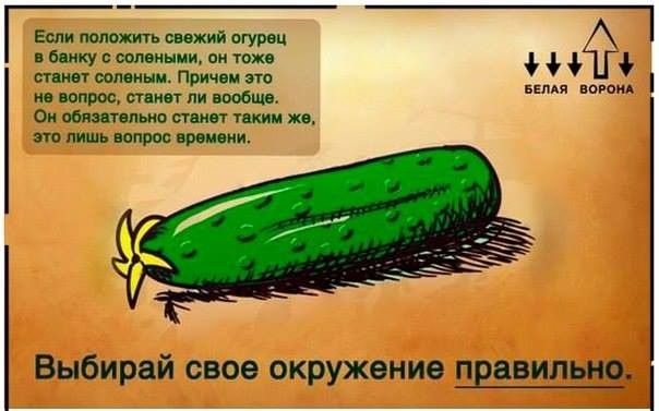 Если положить свежий огурец в банку с соленьями, он тоже станет солёным. Причём это не вопрос, станет ли вообще. Он обтаится станeт таким же, это лишь вопрос времени. Выбирай свое окружение правильно.