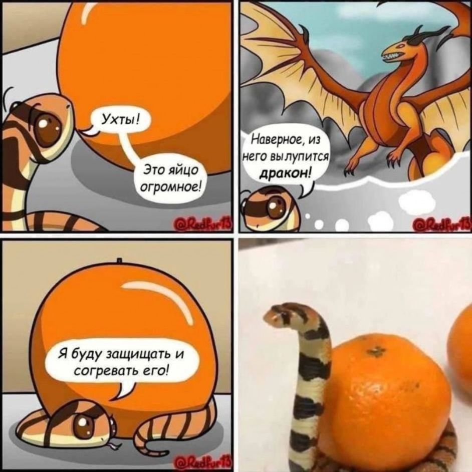 Ух ты! Это яйцо огроменное!
Наверное, из него вылупится дракон!
Я буду защищать и согревать его!