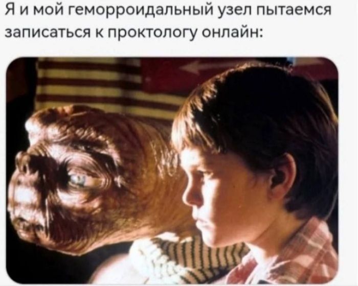 Я и мой геморроидальный узел пытаемся записаться к проктологу онлайн: