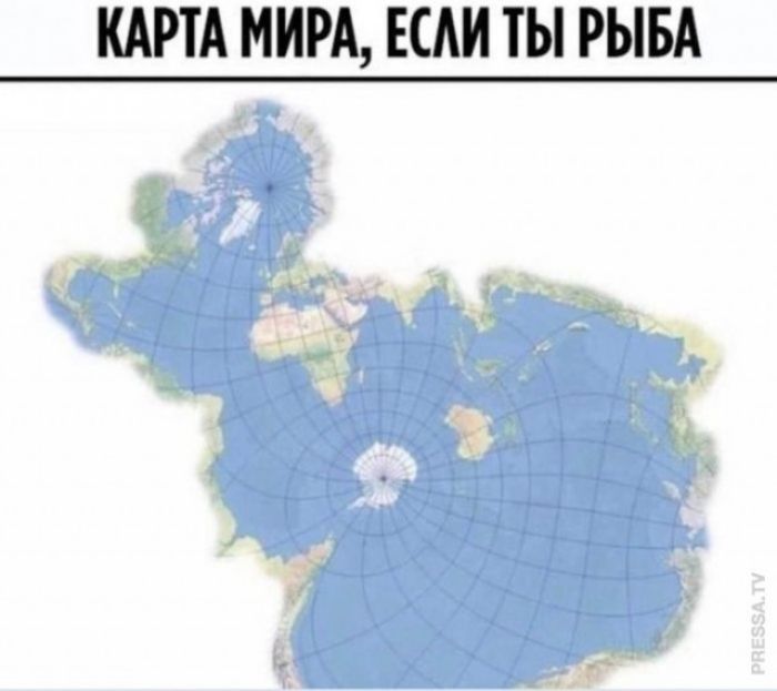 КАРТА МИРА, ЕСЛИ ТЫ РЫБА