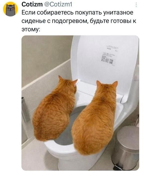 Если собираетесь покупать унитазное сиденье с подогревом, будьте готовы к этому: