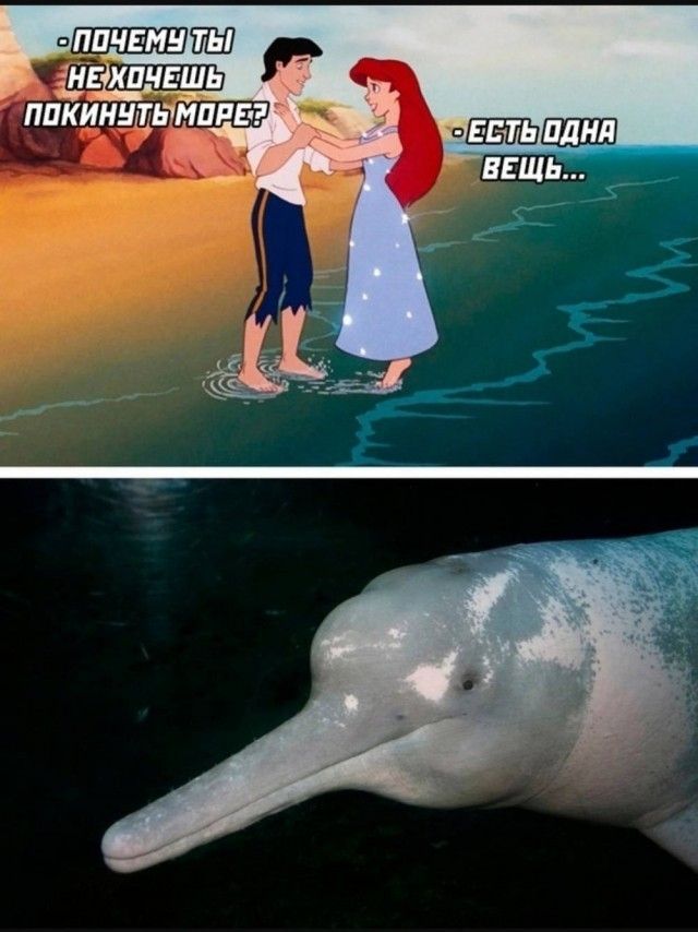 - ПОЧЕМУ ТЫ НЕ ХОЧЕШЬ ПОКИНУТЬ МОРЕ?
- ЕСТЬ ОДНА ВЕЩЬ...