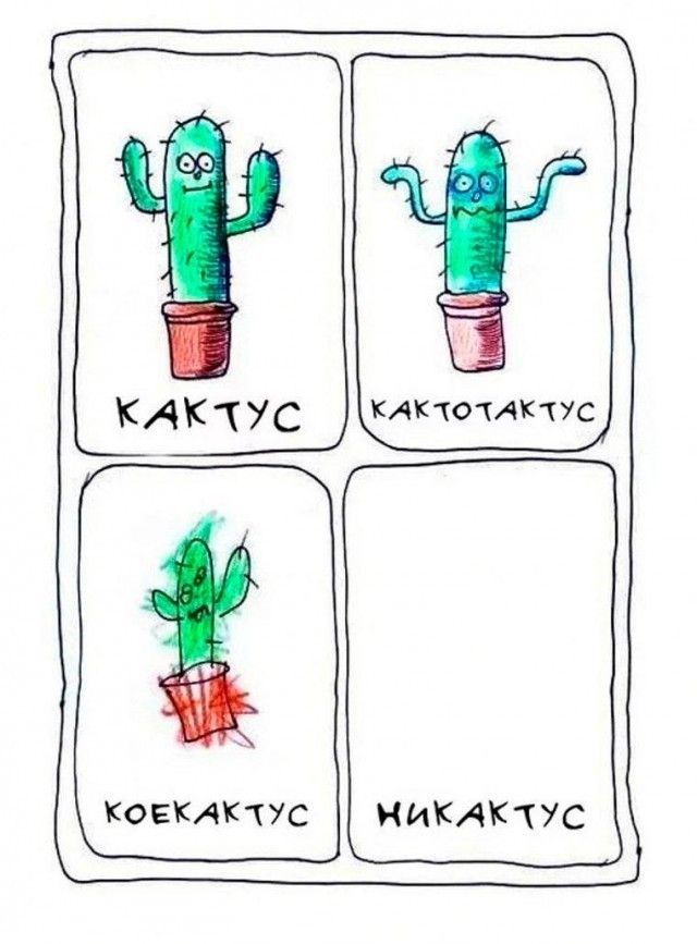 КАКТУС / КАКТОТАКТУС / КОЕКАКТУС / НИКАКТУС