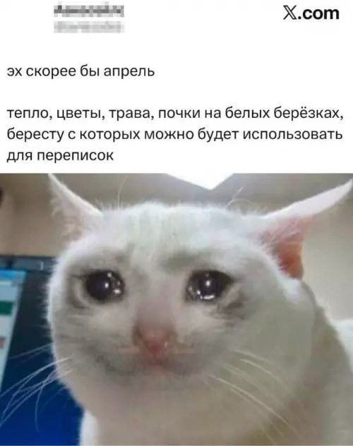 эх скорее бы апрель

тепло, цветы, трава, почки на белых берёзках, бересту с которых можно будет использовать для переписок