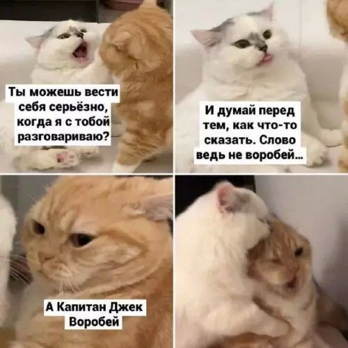 Ты можешь вести себя серьёзно, когда я с тобой разговариваю? И подумай перед тем как что-то сказать. Слово ведь не воробей... А Капитан Джек Воробей