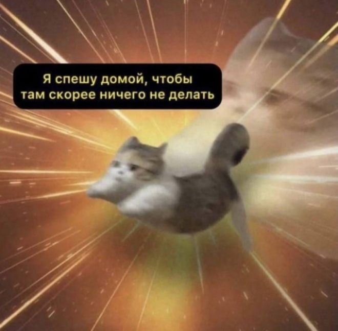 Я спешу домой, чтобы там скорее ничего не делать