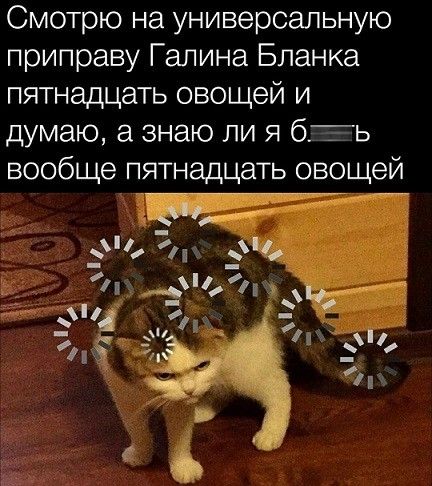 Смотрю на универсальную приправу Галина Бланка пятнадцать овощей и думаю, а знаю ли я блять вообще пятнадцать овощей