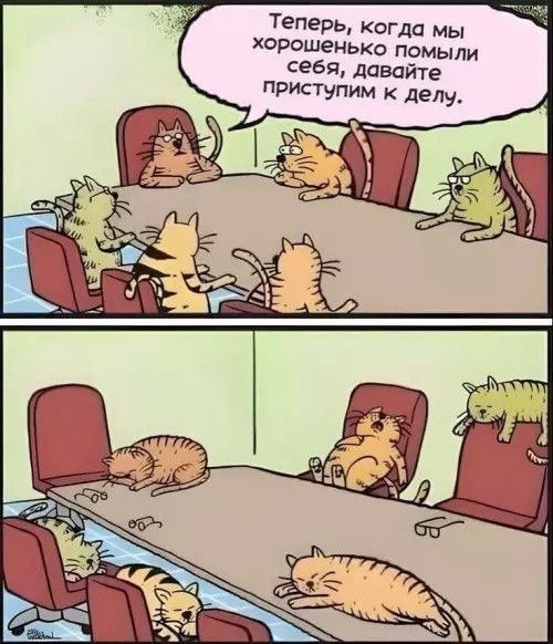 Теперь, когда мы хорошо помыли себя, давайте приступим к делу.