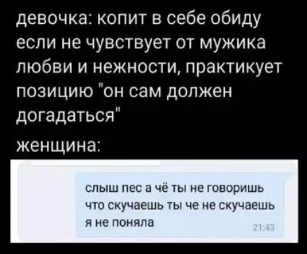 девочка: копит в себе обиду если не чувствует от мужика любви и нежности, практикует позицию “он сам должен догадаться” женщина: слыш пес а чё ты не говоришь что скучаешь ты че не скучаешь я не поняла