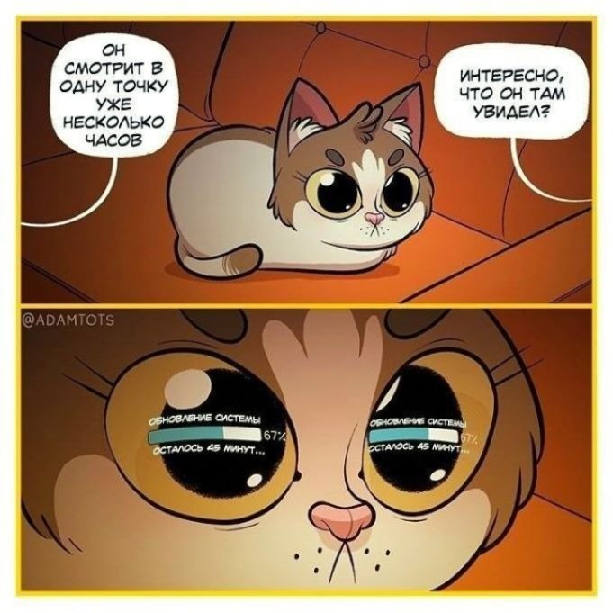 Он смотрит в одну точку уже несколько часов. Интересно, что он там увидел? Фоновая система: осталось 67%... осталось 45 минут...