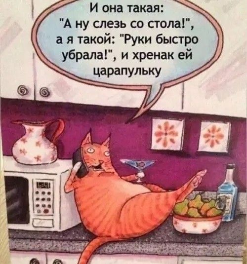 И она такая: «А ну слезь со стола!», а я такой: «Руки быстро убирала!», и хренак ей царапалку