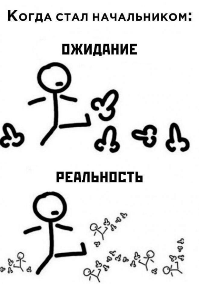 Когда стал начальником:
ОЖИДАНИЕ
РЕАЛЬНОСТЬ