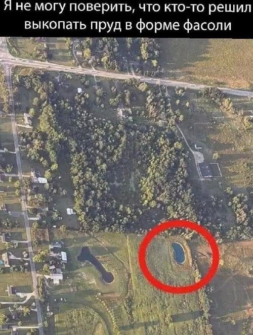 Я не могу поверить, что кто-то решил выкопать пруд в форме фасоли