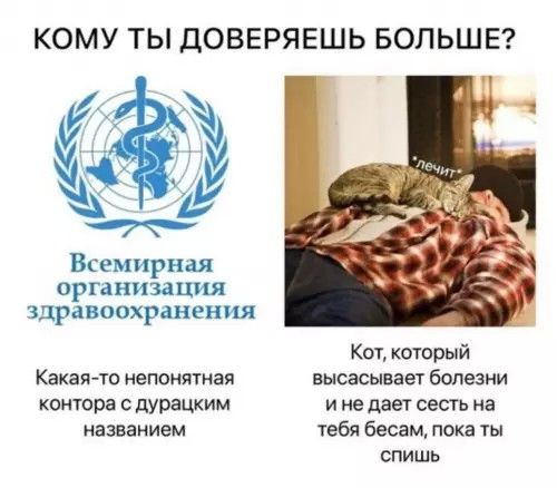 КОМУ ТЫ ДОВЕРЯЕШЬ БОЛЬШЕ? Всемирная организация здравоохранения Какая-то непонятная контора с дурацким названием Кот, который всасывает болезни и не даёт сесть на тебя бесам, пока ты спишь