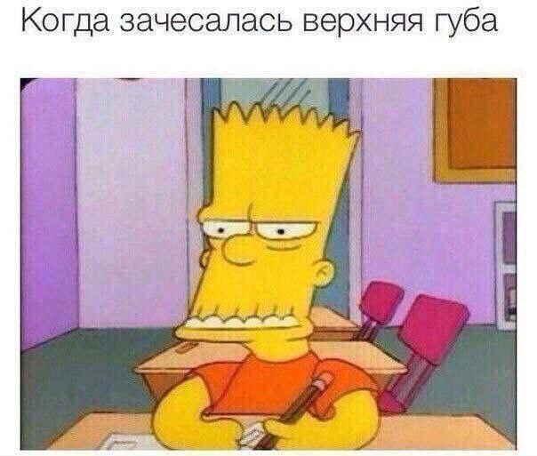 Когда зачесалась верхняя губа