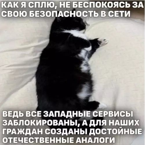 КАК Я СПЛЮ, НЕ БЕСПОКОЯСЬ ЗА СВОЮ БЕЗОПАСНОСТЬ В СЕТИ ВЕДЬ ВСЕ ЗАПАДНЫЕ СЕРВИСЫ ЗАБЛОКИРОВАНЫ, А ДЛЯ НАШИХ ГРАЖДАН СОЗДАНЫ ДОСТОЙНЫЕ ОТЕЧЕСТВЕННЫЕ АНАЛОГИ