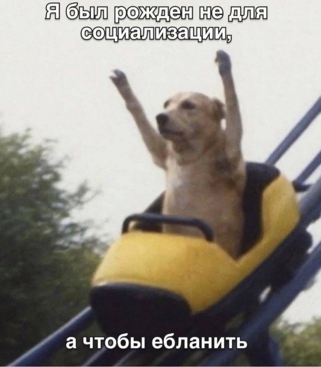 Я был рожден не для социализации, а чтобы ебланить