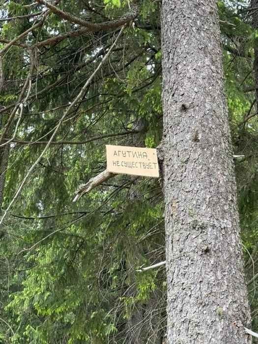 АГУТИНА НЕ СУЩЕСТВУЕТ