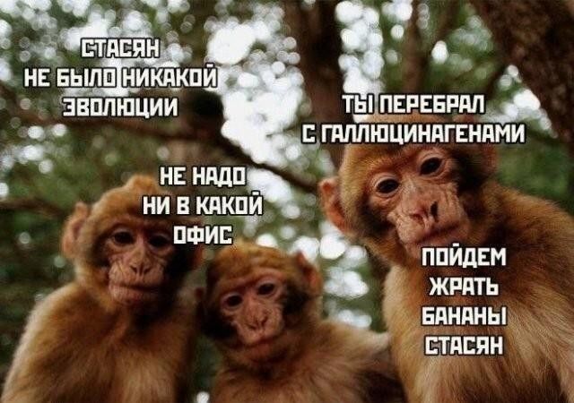 СТАСЯН НЕ БЫЛО НИКАКОЙ ЭВОЛЮЦИИ НЕ НАДО НИ В КАКОЙ ОФИС ТЫ ПЕРЕБРАЛ С ГАЛЛЮЦИНАГЕНАМИ ПОЙДЕМ ЖРАТЬ БАНАНЫ СТАСЯН